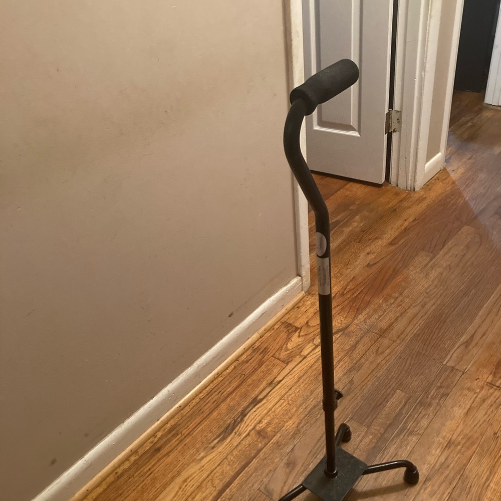 Quad cane in black